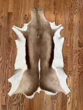 Springbok Skin - From South