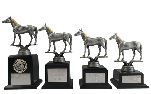 Personalised silver equestrian - personalised,