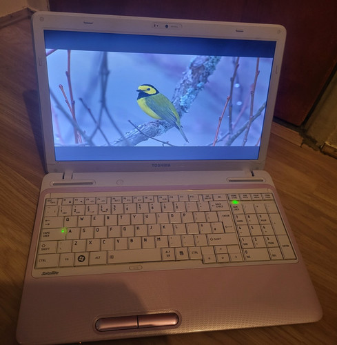 Toshiba satellite laptop - satellite,