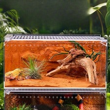 Reptile Terrarium Professional