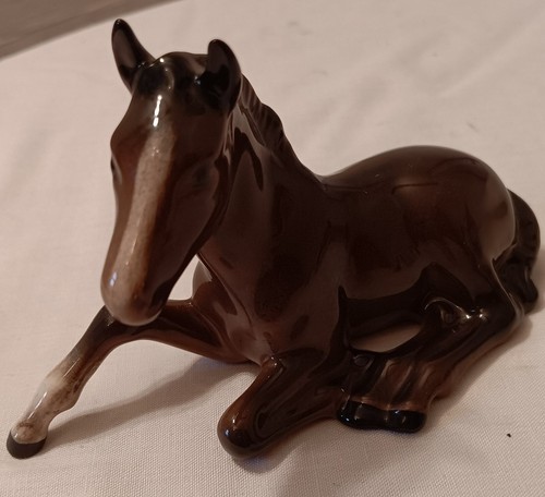 Beswick bay foal horse lying - horse,