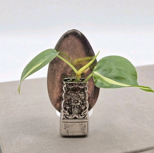 Silver spoon vintage lapel - silver,