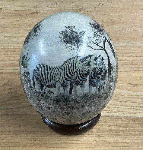 Ostrich egg signed - egg,, kruger