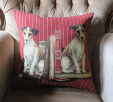 Jack russell terrier - jack,