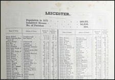 1873. LEICESTERSHIRE. THE