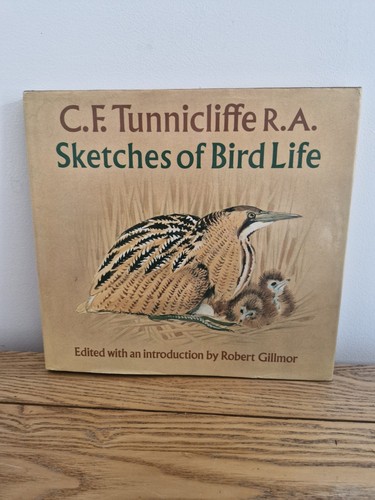 Sketches bird life - sketches,