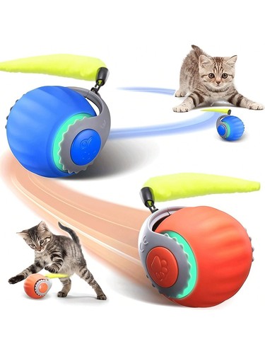 Speedy tail - speedy, 2.0