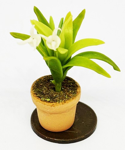 Dolls house green - house, single