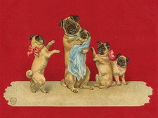 PUG CHARMING DOG GREETINGS