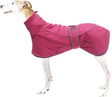 BN NEW GREYHOUND WHIPPET