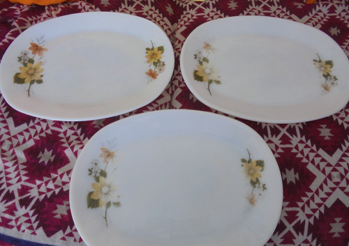 Pyrex oval steak plates - oval,