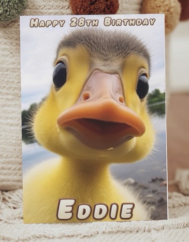 Duckling funny duck - funny,