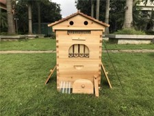 Upgrade 7X Auto Honey Hive