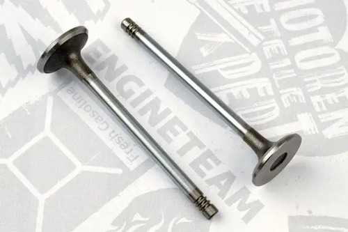 Suction intake valve