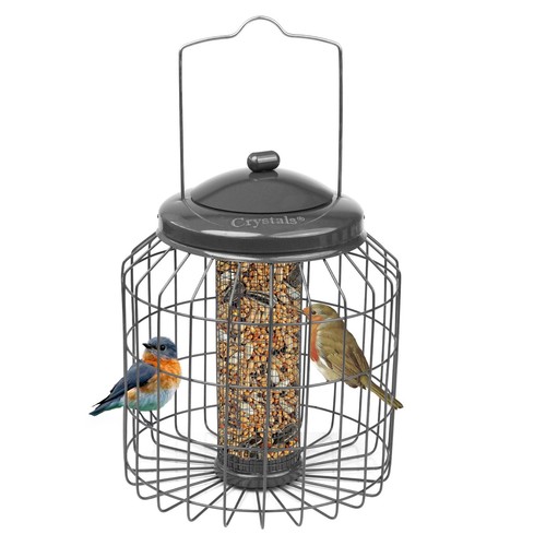 Squirrel proof hanging - squirrel,