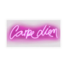 Carr Hailey Neon Carpe Diem PW