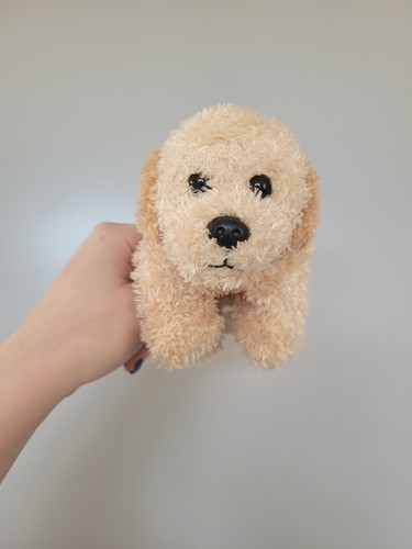 Carte blanche puppy pals dog - puppy,