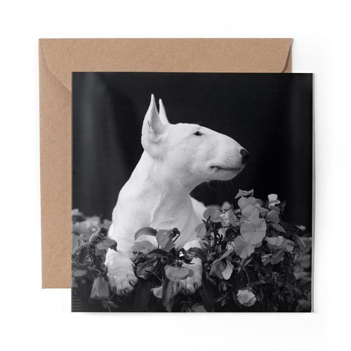 Blank greeting card - 1, x