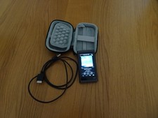 Sony NW A55L DAP with English