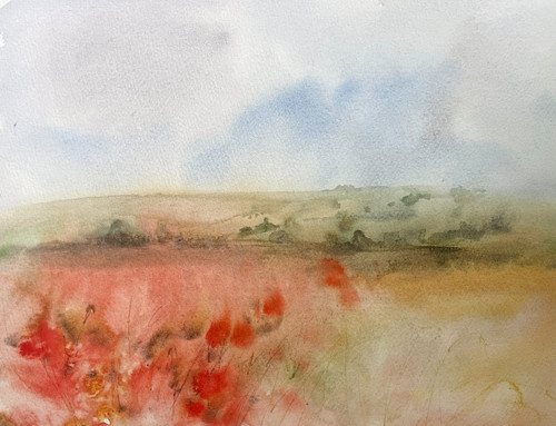 Original poppy field - original,