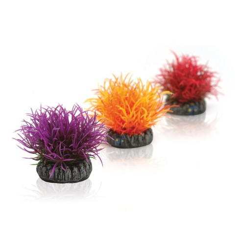 Oasis biorb grow - ball, set