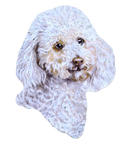 White poodle plaque - plaque,
