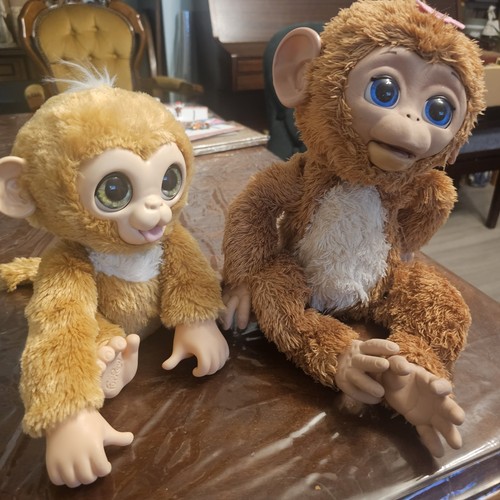 Furreal friends cuddles - cuddles, my