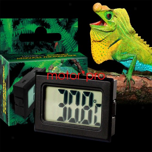 Digital reptile thermometer - digital,