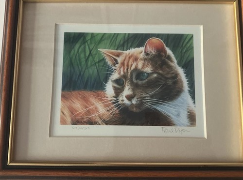 Framed print cat signed - of,