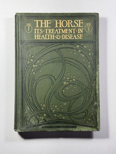 The horse treatment - horse, it’s