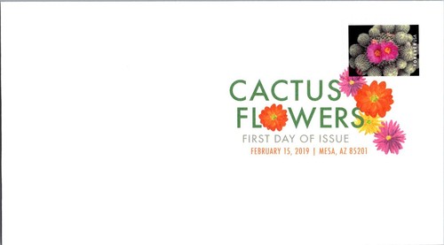 Fdc 5355 2019 cactus - fdc,