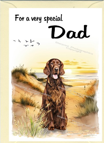 Irish setter dog blank - dog,