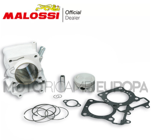 Malossi 3111588 thermal group - malossi,