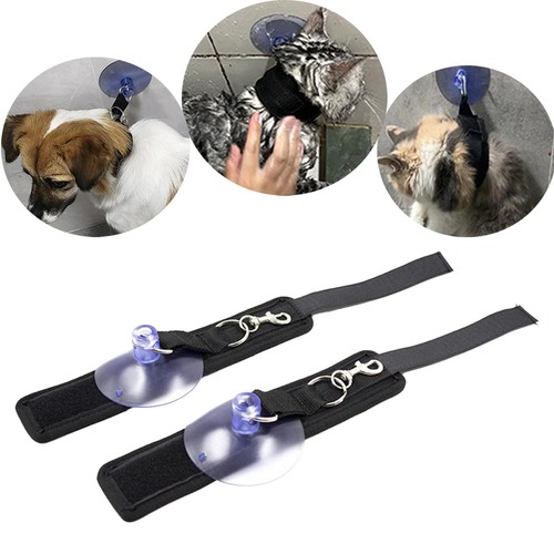 2pcs dog grooming - 2pcs,