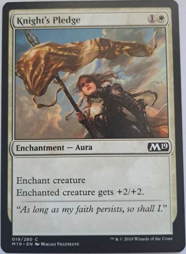 Knight pledge magic - -,