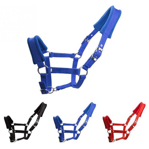 Thicken pony cob - thicken, halter