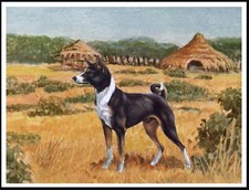 Basenji African Scene A4 Size