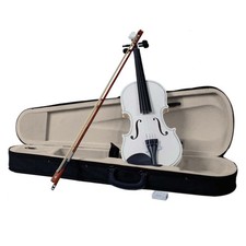 4/4 Violin with Violin Bow