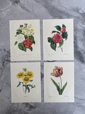 Original vintage botanical / floral bookplates 1964  Medium SIZE 9.5 x 7.5 Inch