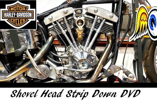 Shovel head stripdown biker - head,