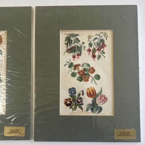 Antique vintage pair - antique,