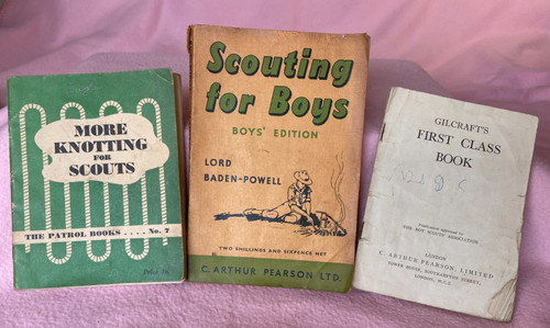 Scouting for boys - boys, boys'