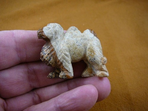 Camel camels tan - camel,