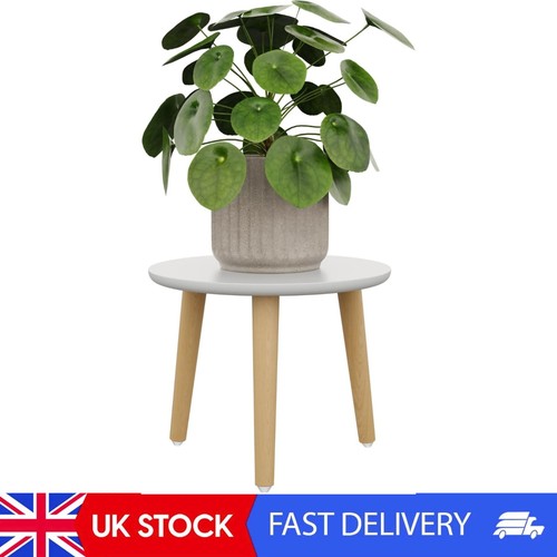Plant stand indoor small - plant,