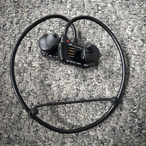 Sony walkman nwz w273 4gb - sony, nwz-w273