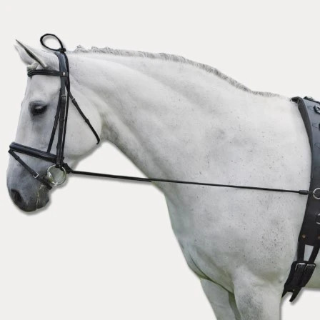 Waldhausen elasticated lunging - elasticated,