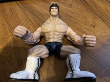 WWE Billy Gunn Wrestling