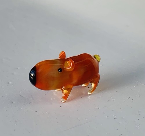 Guinea pig mini - pig~mini, collectible