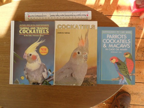Taming training cockatiels - taming,