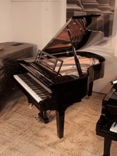 New, Feurich Model 179 Dynamic